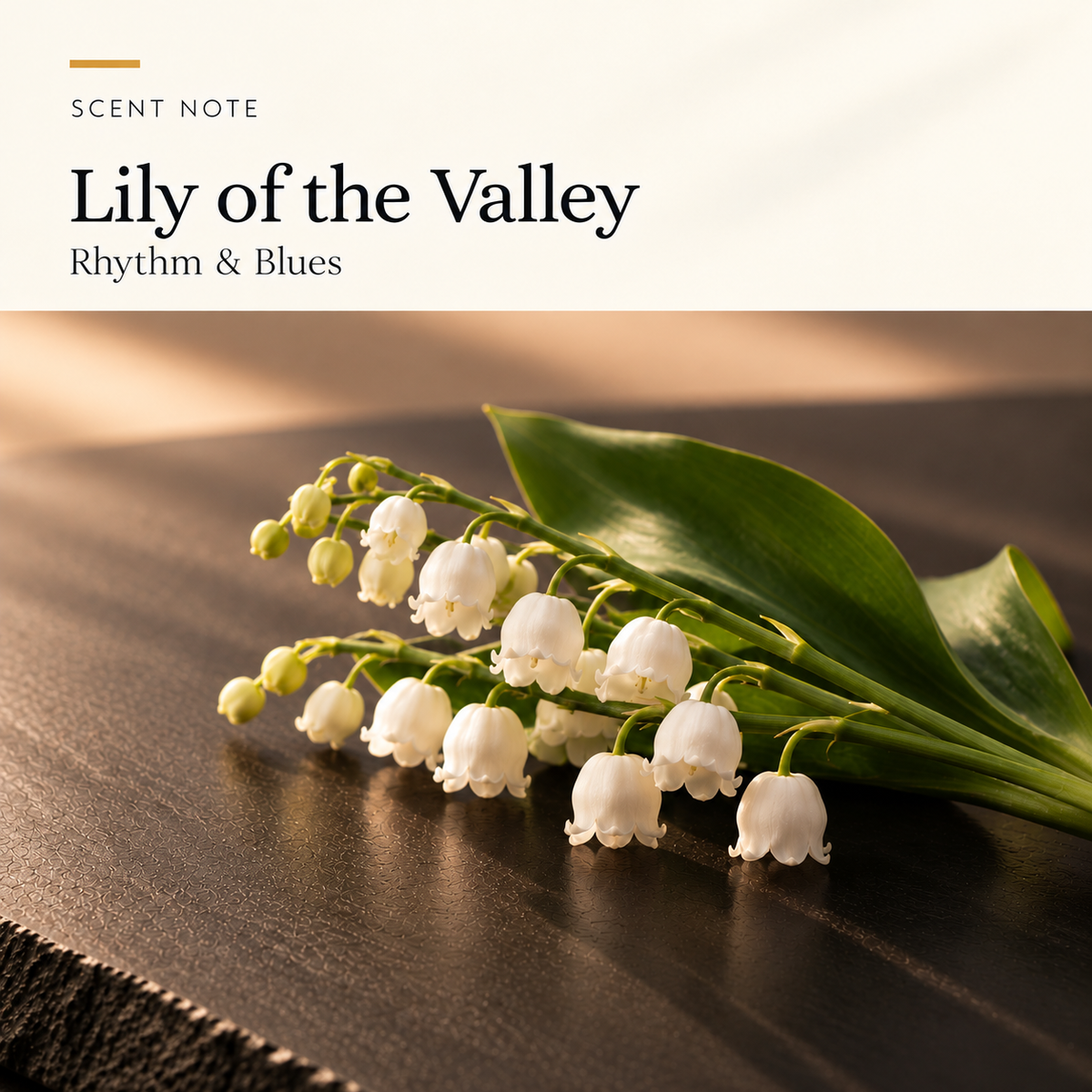 Scent notes for the Rhythm & Blues candle shown through lily of the valley, citrus, basil, sage, musk and cedarwood imagery.