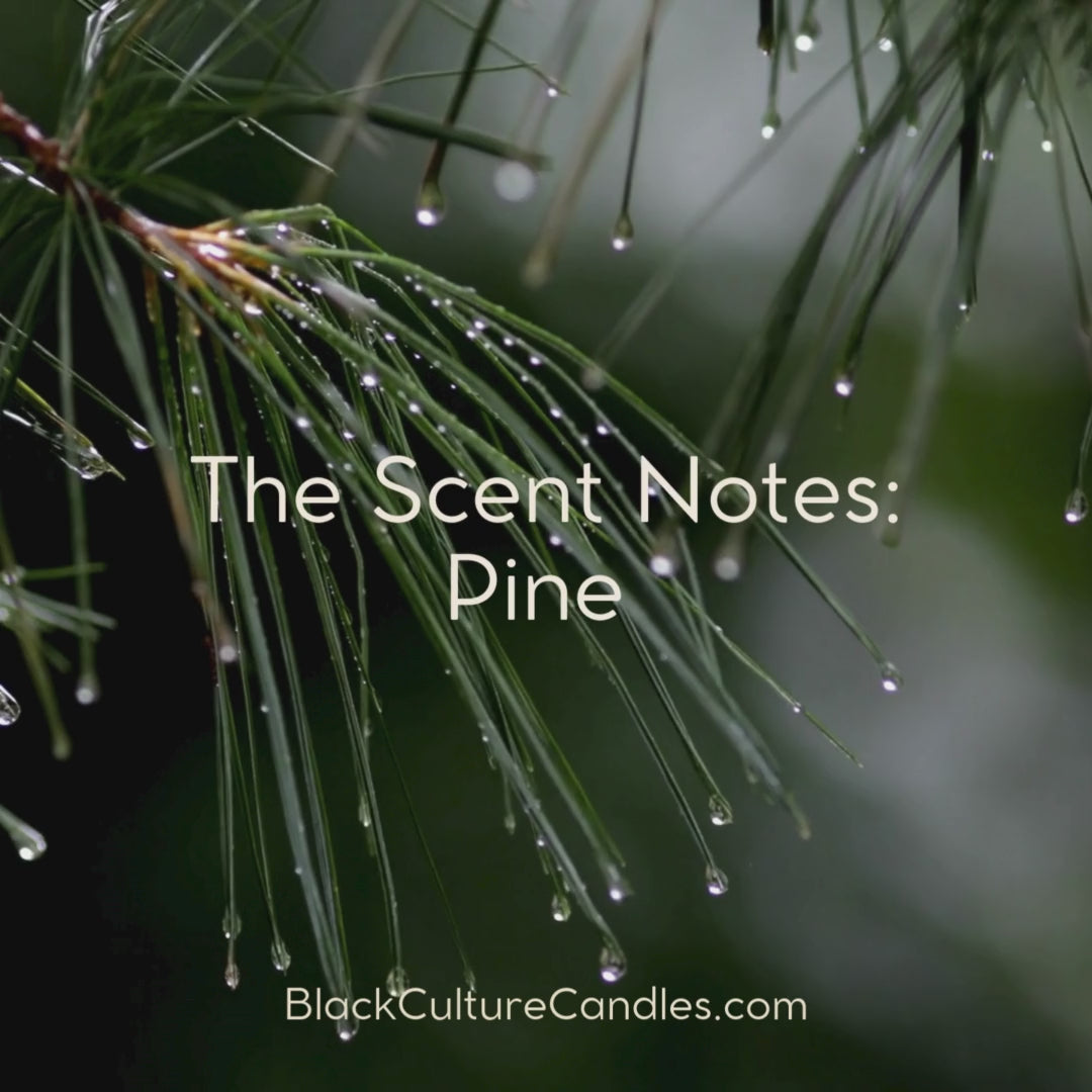 Moonlit Christmas Candle by Black Culture Candles® — a luxury artisan candle in matte black etched glass with a minimalist Christmas tree design. Handcrafted with a coconut apricot wax blend and sustainably sourced wood wick, this elegant holiday candle captures soft florals, fir, and sugar notes for a warm, modern Christmas scent experience.