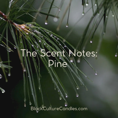 Moonlit Christmas Candle by Black Culture Candles® — a luxury artisan candle in matte black etched glass with a minimalist Christmas tree design. Handcrafted with a coconut apricot wax blend and sustainably sourced wood wick, this elegant holiday candle captures soft florals, fir, and sugar notes for a warm, modern Christmas scent experience.