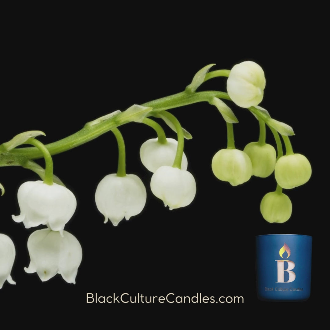 Rhythm & Blues luxury candle in etched glass with scent notes of citrus, lily of the valley, and musk—handcrafted with non-toxic wax and a crackling wood wick. A soulful scent inspired by jazz, gospel, and R&B—honoring culture, memory, and connection. 