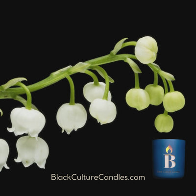 Rhythm & Blues luxury candle in etched glass with scent notes of citrus, lily of the valley, and musk—handcrafted with non-toxic wax and a crackling wood wick. A soulful scent inspired by jazz, gospel, and R&B—honoring culture, memory, and connection. 